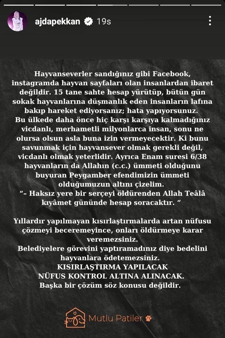 Ajda Pekkan köpeklerin uyutulmasına sert tepki gösterdi